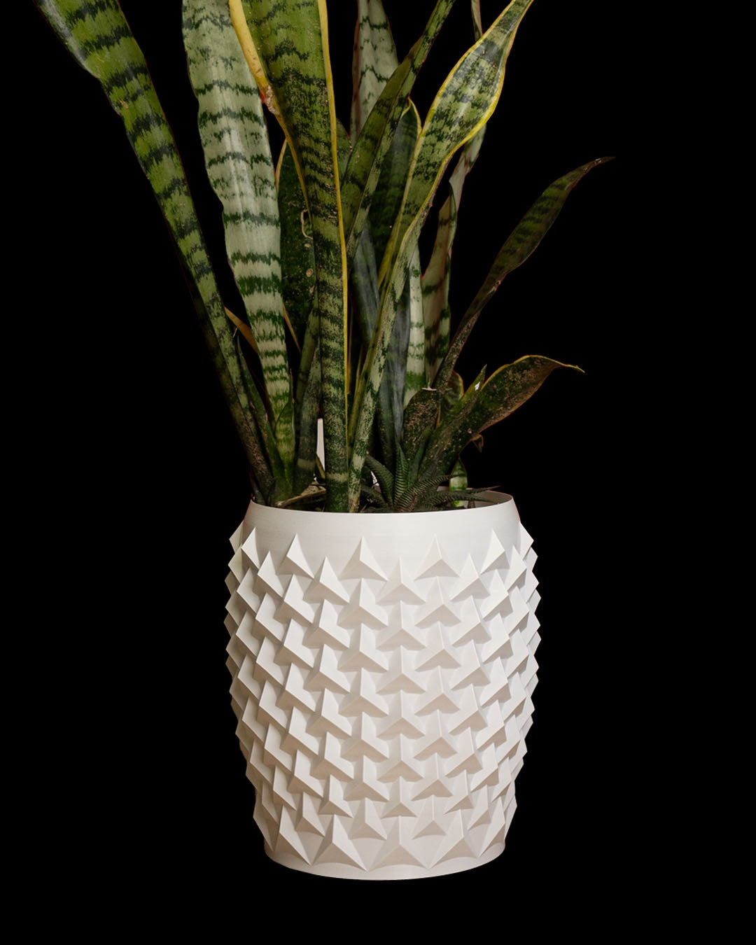 Pointy Flower Pot